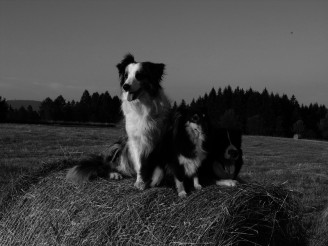 img-old1_5840.(840x680)